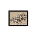 Picture of Botanical Essence _GroupedProduct_Rectangle_Landscape_Framed_Matted_