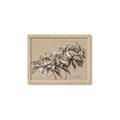 Picture of Botanical Essence _GroupedProduct_Rectangle_Landscape_Framed_Matted_