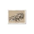 Picture of Botanical Essence _GroupedProduct_Rectangle_Landscape_Framed_Matted_