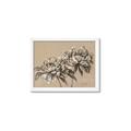 Picture of Botanical Essence _GroupedProduct_Rectangle_Landscape_Framed_Matted_