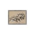 Picture of Botanical Essence _GroupedProduct_Rectangle_Landscape_Framed_Matted_