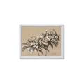 Picture of Botanical Essence _GroupedProduct_Rectangle_Landscape_Framed_Matted_