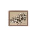 Picture of Botanical Essence _GroupedProduct_Rectangle_Landscape_Framed_Matted_