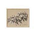 Picture of Botanical Essence _GroupedProduct_Rectangle_Landscape_Framed_Matted_