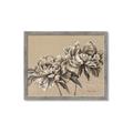 Picture of Botanical Essence _GroupedProduct_Rectangle_Landscape_Framed_Matted_