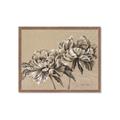 Picture of Botanical Essence _GroupedProduct_Rectangle_Landscape_Framed_Matted_