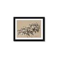 Picture of Botanical Essence _GroupedProduct_Rectangle_Landscape_Framed_Matted_