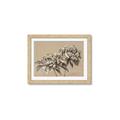 Picture of Botanical Essence _GroupedProduct_Rectangle_Landscape_Framed_Matted_