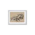 Picture of Botanical Essence _GroupedProduct_Rectangle_Landscape_Framed_Matted_