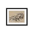 Picture of Botanical Essence _GroupedProduct_Rectangle_Landscape_Framed_Matted_