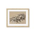 Picture of Botanical Essence _GroupedProduct_Rectangle_Landscape_Framed_Matted_