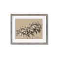 Picture of Botanical Essence _GroupedProduct_Rectangle_Landscape_Framed_Matted_