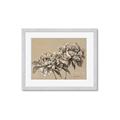 Picture of Botanical Essence _GroupedProduct_Rectangle_Landscape_Framed_Matted_