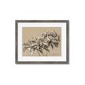 Picture of Botanical Essence _GroupedProduct_Rectangle_Landscape_Framed_Matted_