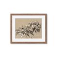 Picture of Botanical Essence _GroupedProduct_Rectangle_Landscape_Framed_Matted_
