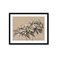 Picture of Botanical Essence _GroupedProduct_Rectangle_Landscape_Framed_Matted_