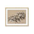 Picture of Botanical Essence _GroupedProduct_Rectangle_Landscape_Framed_Matted_