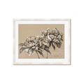 Picture of Botanical Essence _GroupedProduct_Rectangle_Landscape_Framed_Matted_
