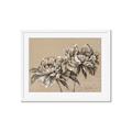 Picture of Botanical Essence _GroupedProduct_Rectangle_Landscape_Framed_Matted_