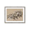 Picture of Botanical Essence _GroupedProduct_Rectangle_Landscape_Framed_Matted_