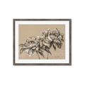 Picture of Botanical Essence _GroupedProduct_Rectangle_Landscape_Framed_Matted_