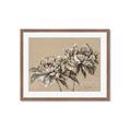 Picture of Botanical Essence _GroupedProduct_Rectangle_Landscape_Framed_Matted_