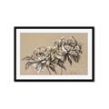 Picture of Botanical Essence _GroupedProduct_Rectangle_Landscape_Framed_Matted_
