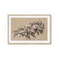 Picture of Botanical Essence _GroupedProduct_Rectangle_Landscape_Framed_Matted_