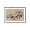 Picture of Botanical Essence _GroupedProduct_Rectangle_Landscape_Framed_Matted_