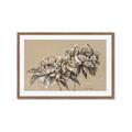 Picture of Botanical Essence _GroupedProduct_Rectangle_Landscape_Framed_Matted_
