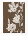 Picture of Shadowed Petals _GroupedProduct_Rectangle_Portrait_Unframed_Print_Only_