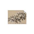 Picture of Botanical Essence _GroupedProduct_Rectangle_Landscape_Unframed_Print_Only_