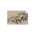 Picture of Botanical Essence _GroupedProduct_Rectangle_Landscape_Unframed_Print_Only_