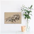 Picture of Botanical Essence _GroupedProduct_Rectangle_Landscape_Canvas_