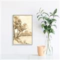 Picture of Serenity Grove I _GroupedProduct_Rectangle_Portrait_Canvas_Framed_