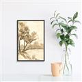 Picture of Serenity Grove I _GroupedProduct_Rectangle_Portrait_Canvas_Framed_