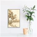Picture of Serenity Grove I _GroupedProduct_Rectangle_Portrait_Canvas_Framed_