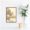 Picture of Serenity Grove I _GroupedProduct_Rectangle_Portrait_Canvas_Framed_