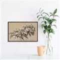 Picture of Botanical Essence _GroupedProduct_Rectangle_Landscape_Canvas_Framed_