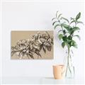 Picture of Botanical Essence _GroupedProduct_Rectangle_Landscape_Unframed_Print_Only_