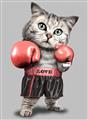 Picture of Boxing cat _GroupedProduct_Rectangle_Portrait_Unframed_Print_Only_