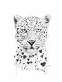 Picture of Lovely leopard _GroupedProduct_Rectangle_Portrait_Unframed_Print_Only_