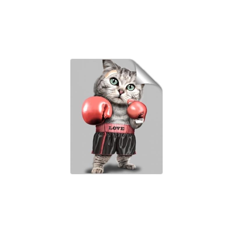 Picture of Boxing cat _GroupedProduct_Rectangle_Portrait_Unframed_Print_Only_