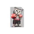Picture of Boxing cat _GroupedProduct_Rectangle_Portrait_Unframed_Print_Only_