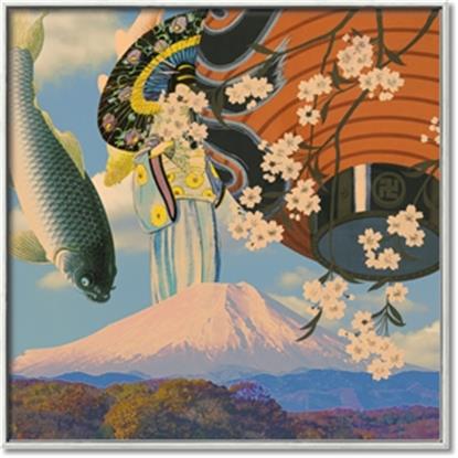 Picture of Koi