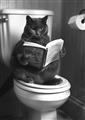 Picture of Plus Size Kitty on the Loo _GroupedProduct_Rectangle_Portrait_Unframed_Print_Only_