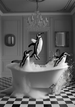 Picture of Penguin Party