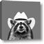 Picture of Wyatt The Cowboy Raccoon