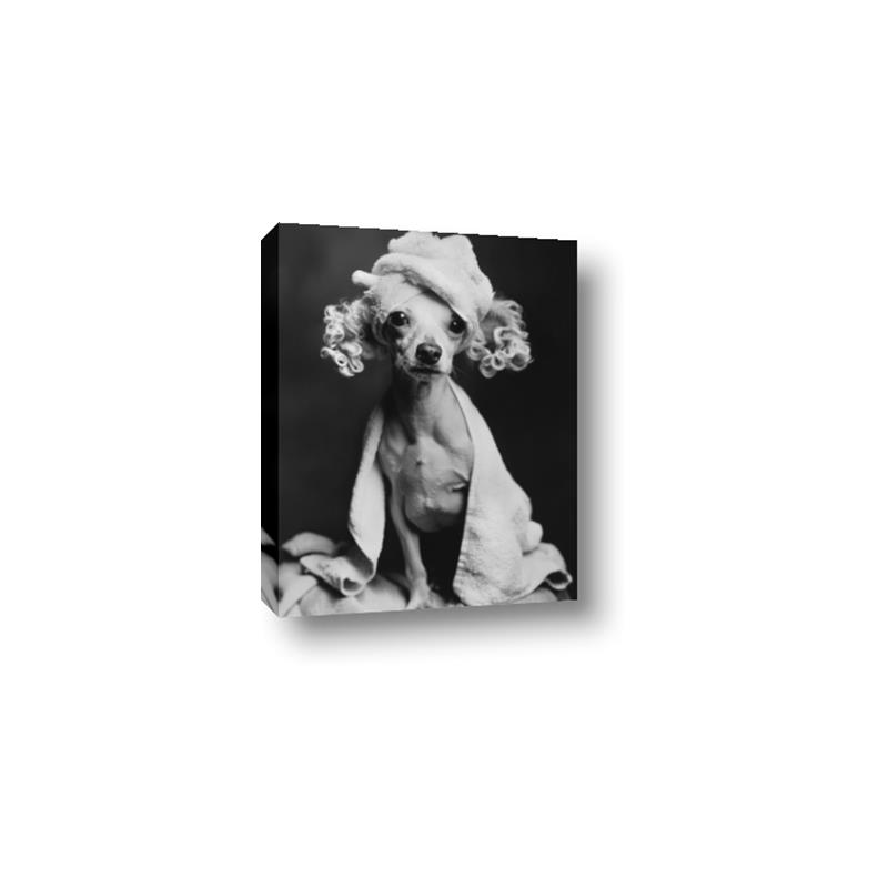 Picture of Spa Day Pooch _GroupedProduct_Rectangle_Portrait_Canvas_