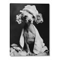 Picture of Spa Day Pooch _GroupedProduct_Rectangle_Portrait_Canvas_